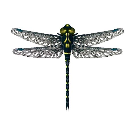 animal crossing dragonfly.